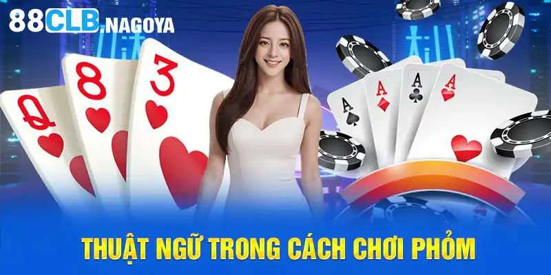 Thuật ngữ trong cách chơi phỏm